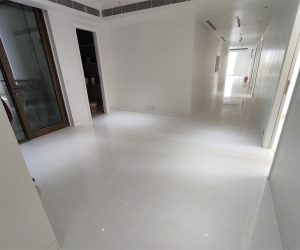 Thassos Marble Premium