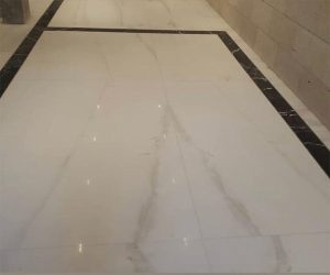 Thassos Venato Marble Project